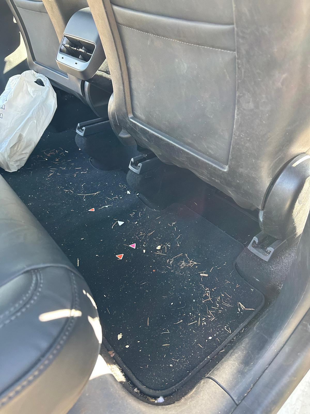 Vehicle 1 carpet before detailing